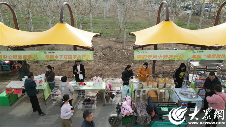 匠心傳承，共富同行 廣饒縣李鵲鎮“好品李鵲共富市集”上的麥秸畫藝術